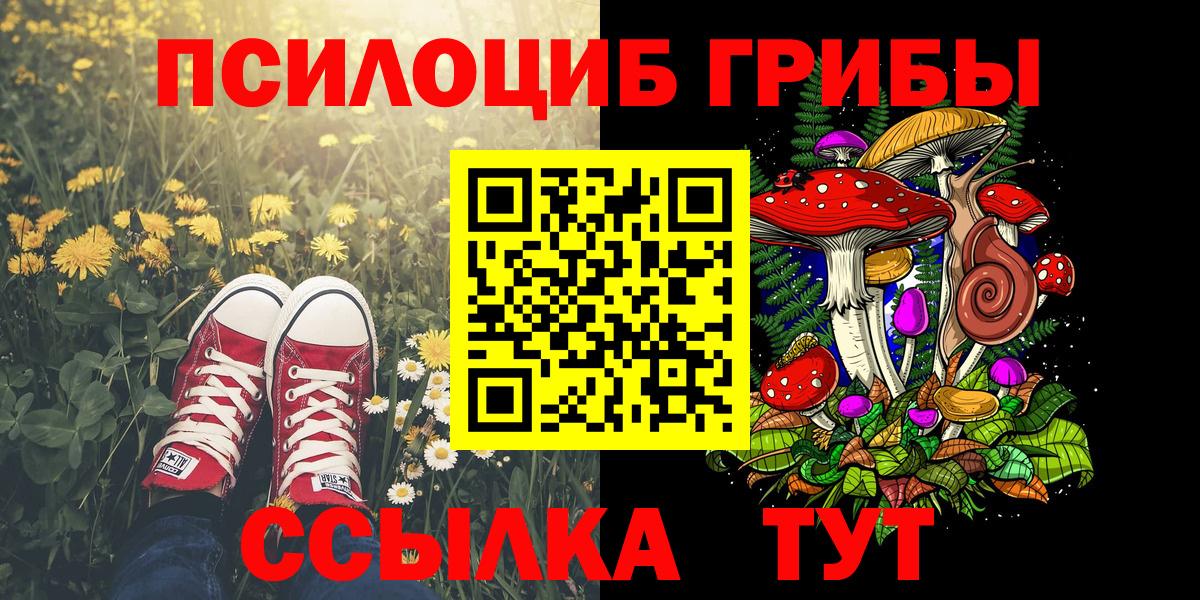 Галлюциногенные грибы мицелий  Вход с VPN  Галлюциногенные грибы прущие грибы  Киров 